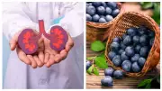 Science-Backed Kidney Health: 4 Superfoods to Eat & 4 Dangerous Foods to Avoid