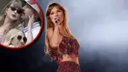 Taylor Swift's Generous $100K Donation Wins Praise Amid Travis Kelce Prenup Rumors