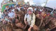 YouTuber Tyler Oliveira's 'Mock Apology' For Cow Dung Festival Video Sparks Cultural Sensitivity Debate