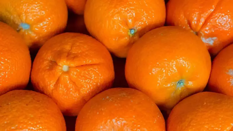 10 Easy Tips to Keep Oranges Fresh for Weeks & Prevent Waste