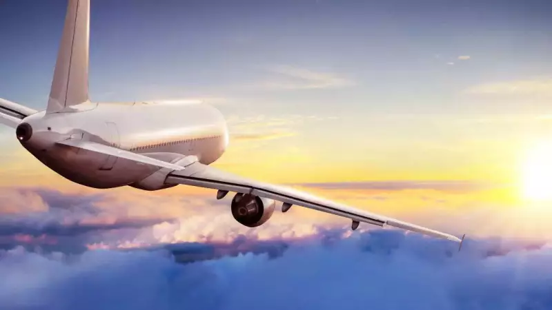 10 Surprising Items Banned on Flights: Coconuts to Protein Powder