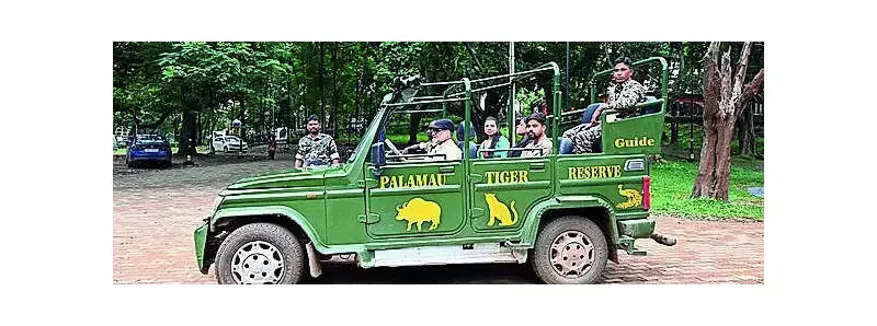 4 Tribal Women Break Barriers as First Female Guides at Palamu Tiger Reserve