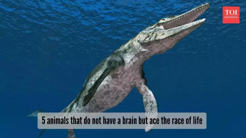 5 Animals That Went Extinct Recently: A Tragic Loss for Biodiversity