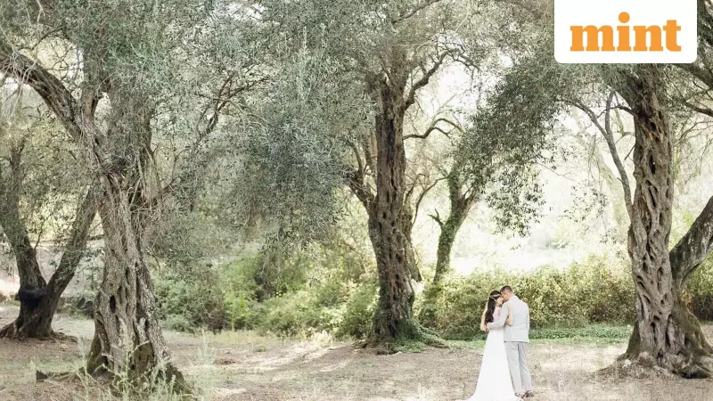 5 Best Low AQI Resorts in India for a Romantic Anniversary Escape