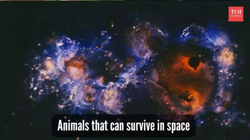 5 Earth Animals That Can Survive Harsh Space Conditions