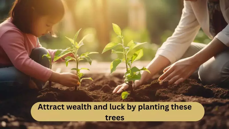 5 Vastu-Approved Trees to Plant for Instant Wealth & Good Fortune