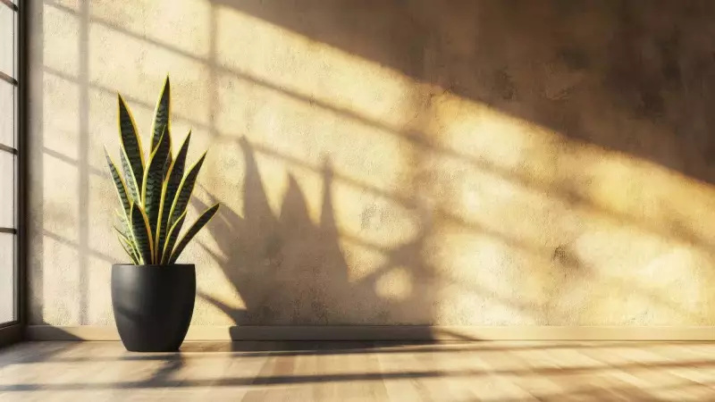 6 Indoor Plants That Fight Sinus Problems & Improve Air Quality