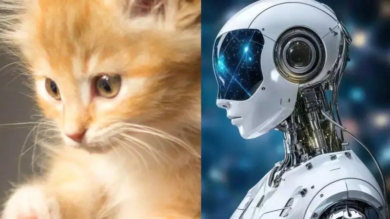 Animal & AI Consciousness: New Science Redefines Awareness