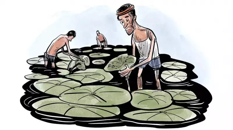 Bihar Election Result: Nitish Kumar's Win Highlights Incumbent Advantage