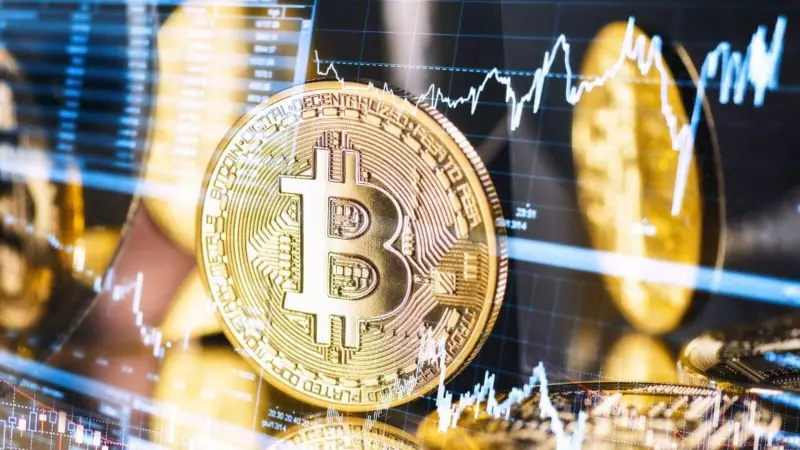 Bitcoin Crashes to 6-Month Low: Key Factors Behind the 30% Drop
