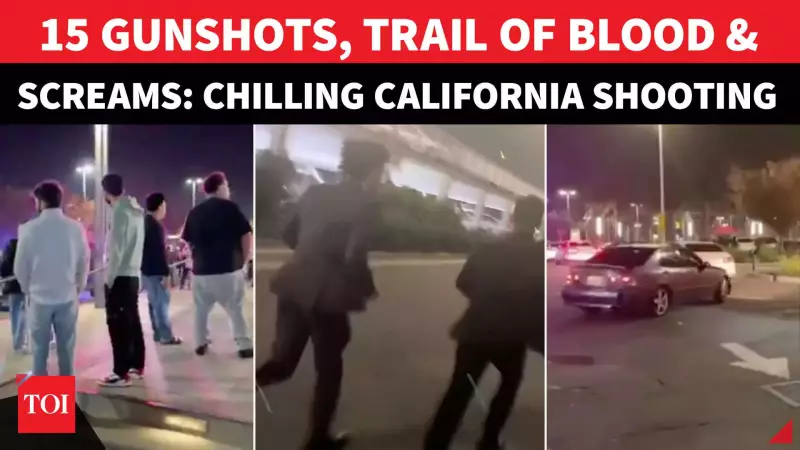 California Mall Shooting: 2 Shot in San Jose, Chaos After DC Attack