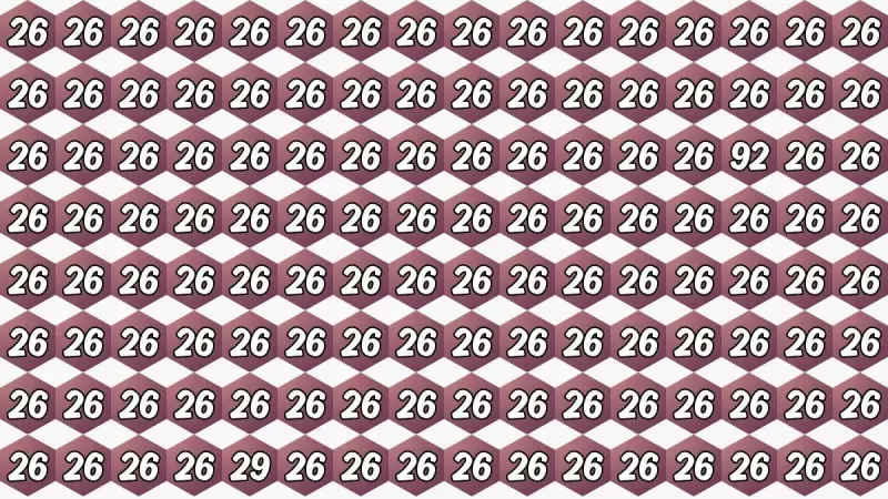 Can You Spot 92 & 29 in 8 Seconds? Optical Illusion Challenge