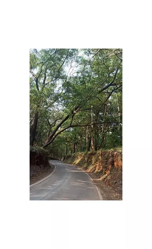 Canacona's Dangerous Shortcut: Locals Demand Road Widening