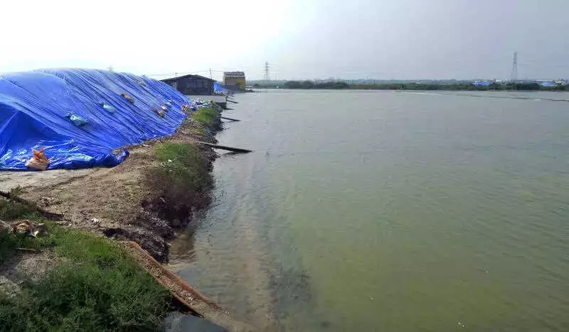 Cyclone Ditwah Devastates Tamil Nadu Salt Industry, 75,000 Jobs at Risk