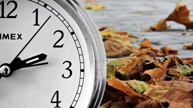 Daylight Saving Time Ends This Weekend: Michigan Prepares to 'Fall Back' - Here's Your Complete Guide