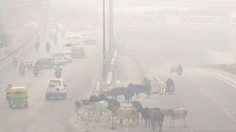 Delhi Air Quality Crisis: Visibility Drops Below 200 Meters