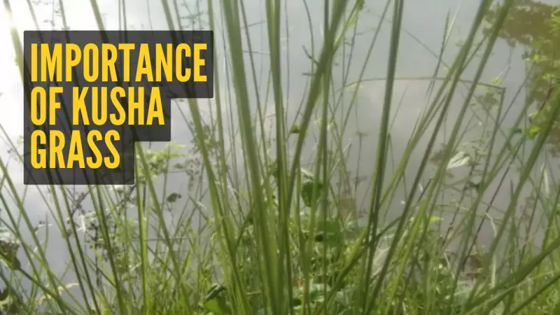 Delhi Blast: PM Modi Takes Charge, High Alert Across Multiple States