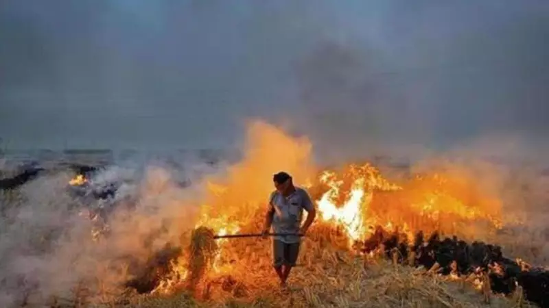 Delhi's Toxic Air Crisis: iXiGO CEO Reveals Shocking AI-Estimated Cost to End Stubble Burning