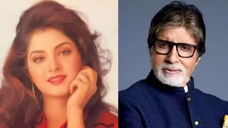 Divya Bharti's Charming Amitabh Bachchan Encounter & Bollywood Journey