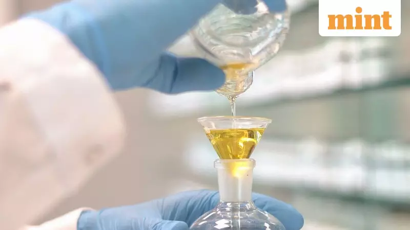 Eurofragance Unveils Olivante®: Upcycled Olive Pulp Revolutionizes Fragrance