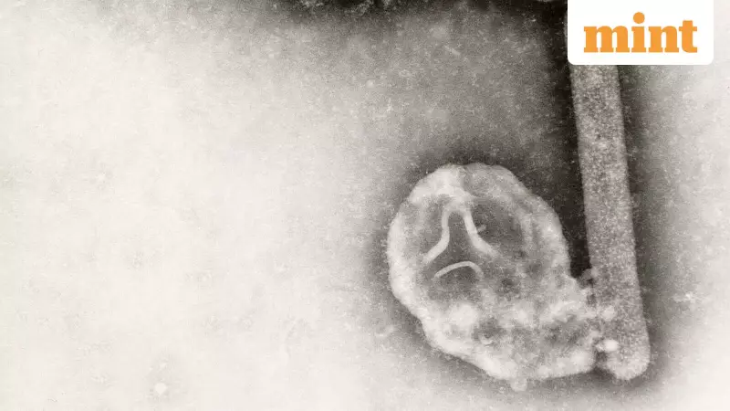 First US Human Case of H5N5 Bird Flu Reported in Washington