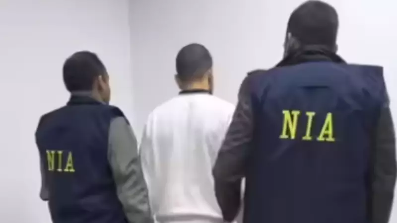 Gangster Anmol Bishnoi Gets 11-Day NIA Custody After US Deportation