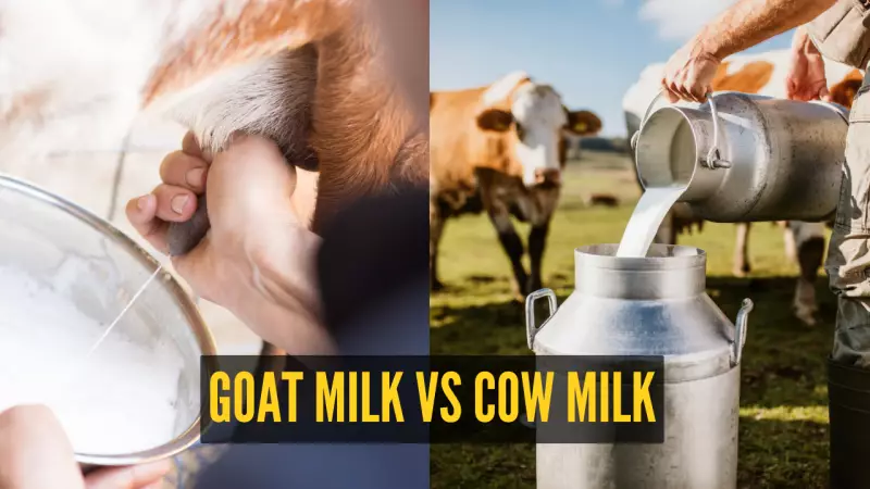 Goat Milk vs Cow Milk: Which Packs a Healthier Punch?