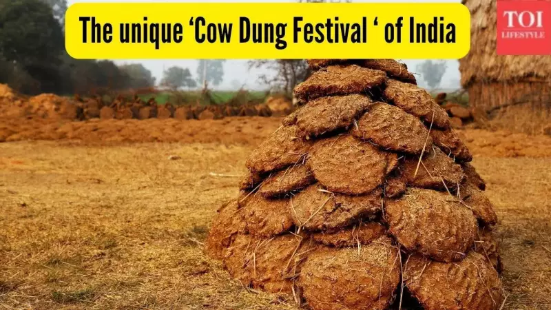 Gorehabba Festival: Tamil Nadu's Unique Cow Dung Celebration After Diwali