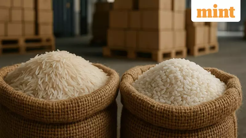 GRM Overseas Stock Soars 340%, Declares 2:1 Bonus Shares