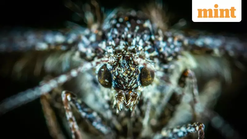 Hawaii's Bold Plan: Flooding Forests with 500,000 Mosquitoes Weekly to Save Native Birds