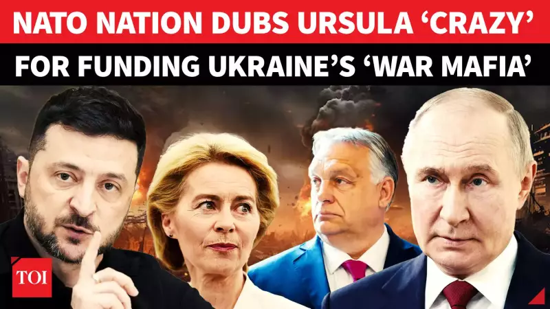 Hungary Slams EU's €100 Billion Ukraine Plan as 'Madness' Over Corruption