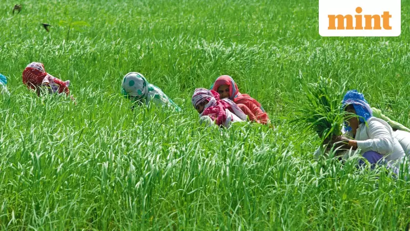 India's Digital Agriculture Mission: AgriStack & Farmer ID Revolution