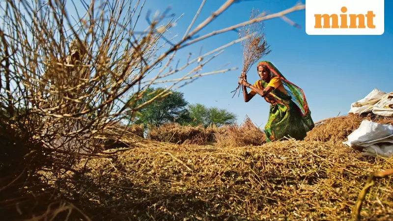 India's Kharif Foodgrain Output to Hit 173.33 Million Tonnes in 2025-26