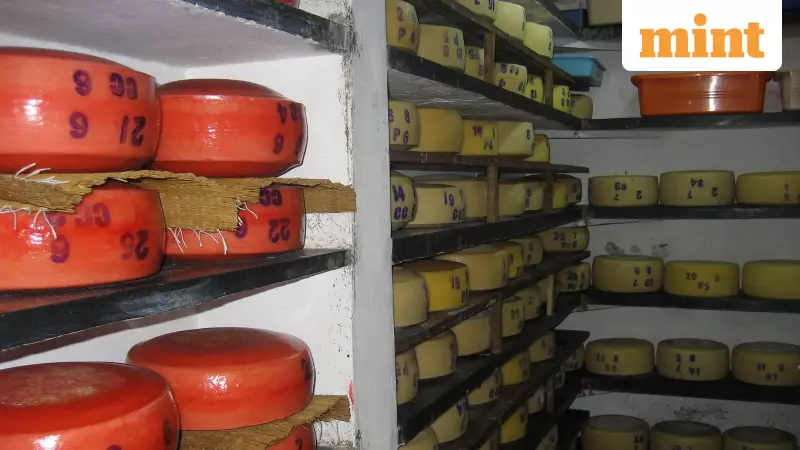 India's Mozzarella Exports Surge 1200%, Shaking Global Dairy Market