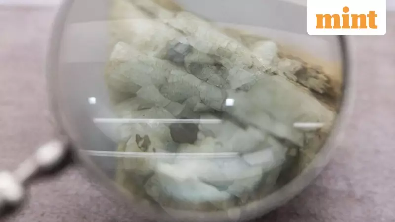 India's Rare Earth Push: Experts Urge Global Partnerships for Mineral Security