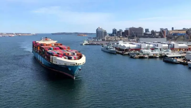 India's US Exports Drop 28.5% in 5 Months Due to High Tariffs