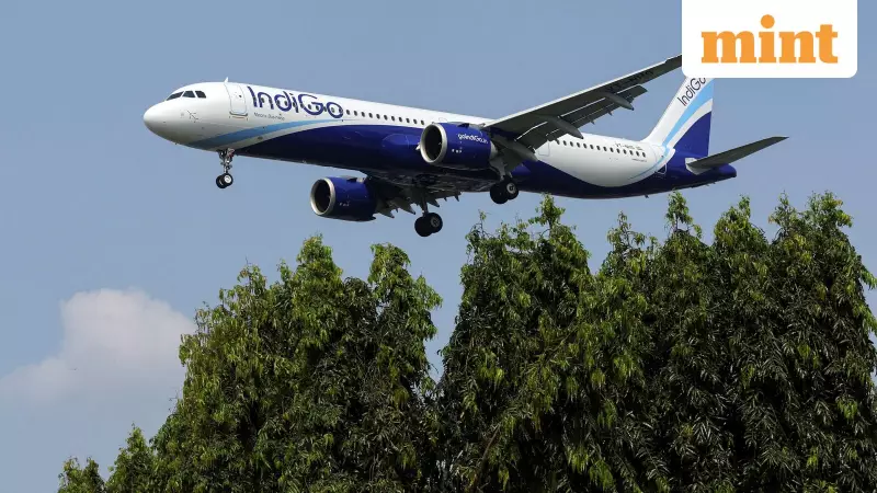 IndiGo Eyes More International Flights After Q2 Profit Plunge Due to Massive Forex Loss