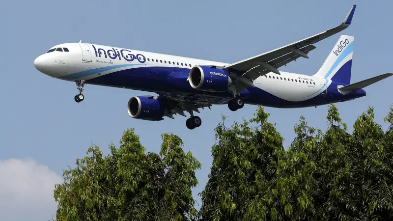 IndiGo Q2 Results: Can India's Aviation Giant Defy Industry Headwinds?