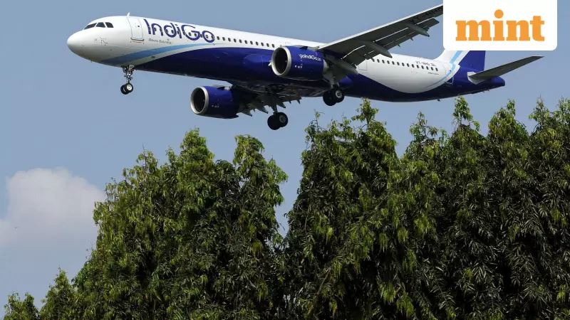 Indigo Soars 3.5% Despite Q2 Loss: The Hidden Bullish Signals That Excited Investors