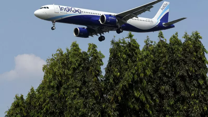 IndiGo's Turbulent Quarter: Soaring Revenue Can't Offset Massive Forex Losses in Q2