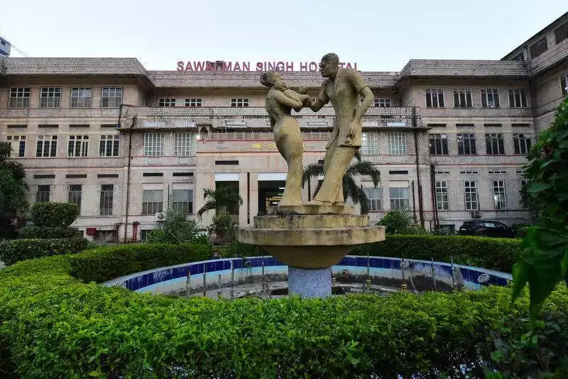 Jaipur's Rabies Battle: 100% Mortality Despite Experimental Coma Treatment