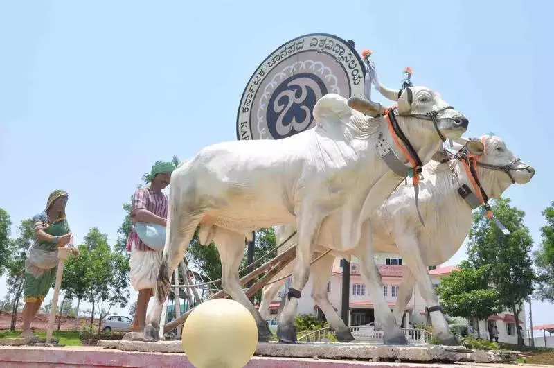 Karnataka Folklore University Faces CID Probe Demand Over Rs 1 Crore Scam