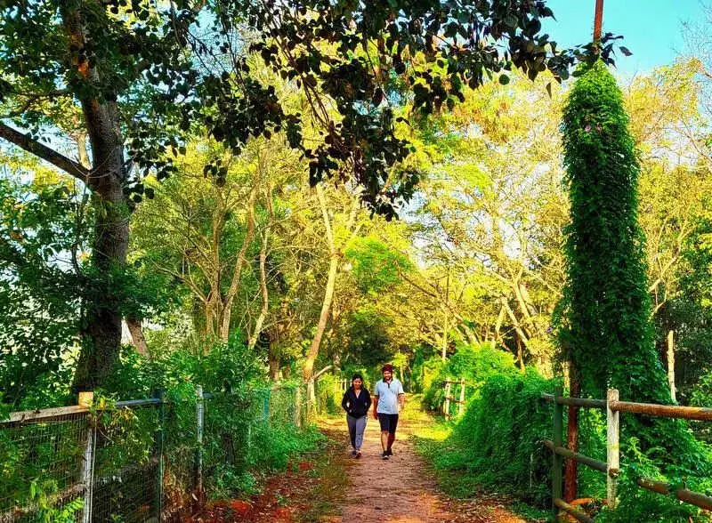 Maharashtra Winter Warms: Cyclone Ditwah to Raise Temperatures by 2-3°C