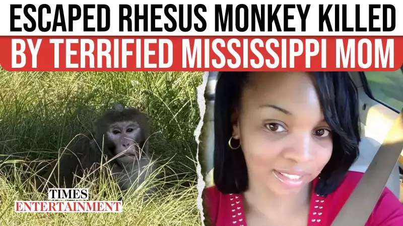 Mississippi Mom's Quick Thinking Captures Wild Rhesus Monkey on Video | TOI