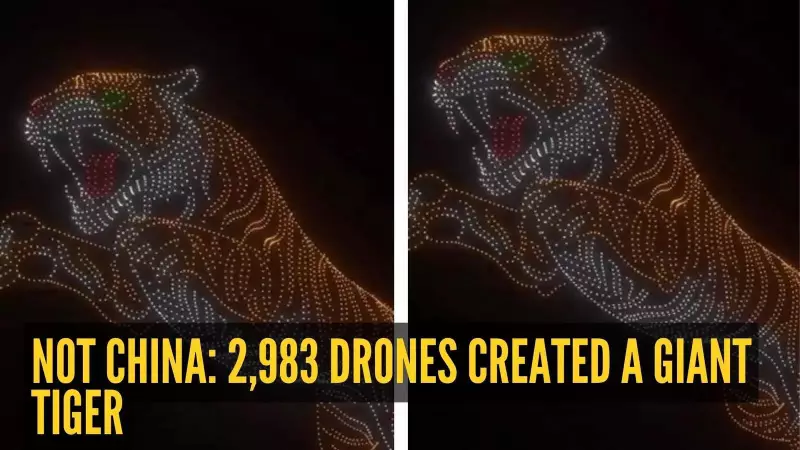 Mysuru's Dasara Drone Show Sets Guinness Record with 2,983 Drones