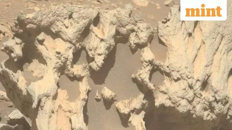 NASA's Perseverance Finds Iron-Nickel Rock on Mars, Possibly a Meteorite