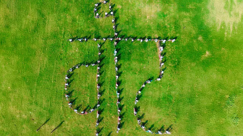 NDA's Bihar Victory: Coalition Math, Women Voters & SIR Drive Success