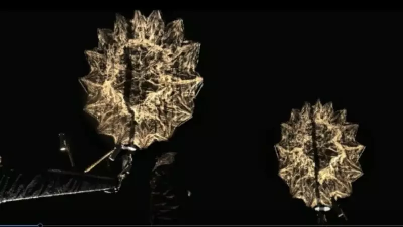 NISAR Mission Hits Major Milestone: 12m Antenna Deployed, Science Phase Begins