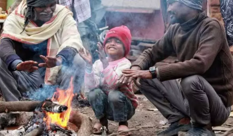 North India Braces for Intensifying Cold Wave, Heavy Rain in Tamil Nadu