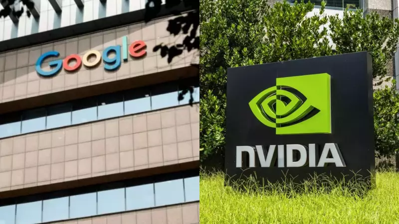 Nvidia Loses $150B as Meta Considers Google AI Chips